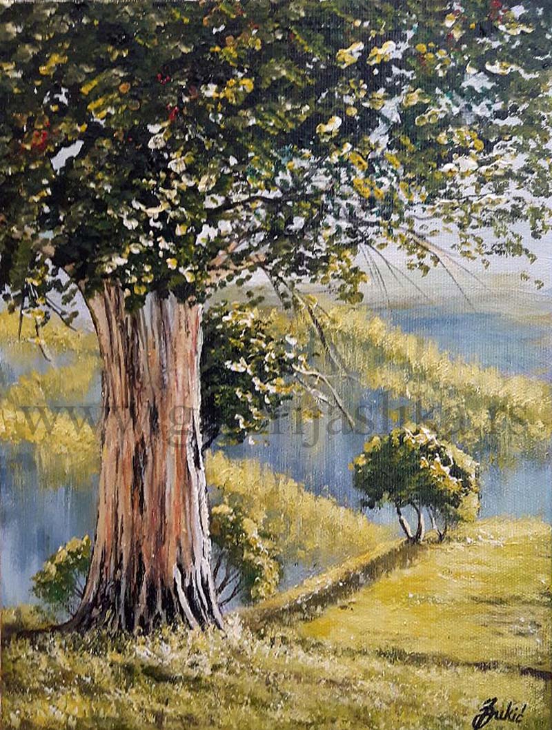 Jadran Djukic , slike , galerija slika Beli Andjeo