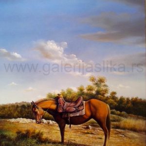 Adam Radelic , slike , galerija slika Beli Andjeo