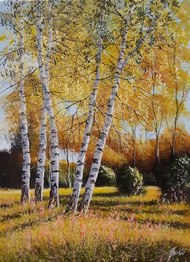 galerija slika Jadran Djukic