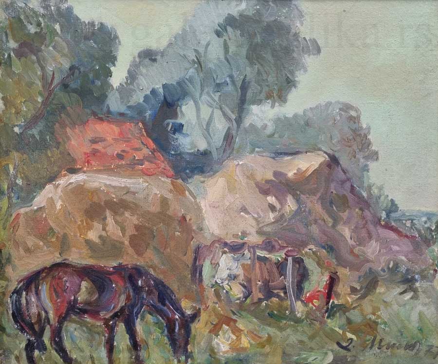 galerija slika Dusan Mikonjic