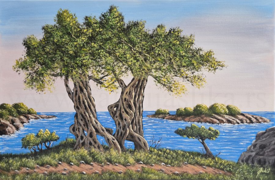 galerija slika Jadran Djukic 