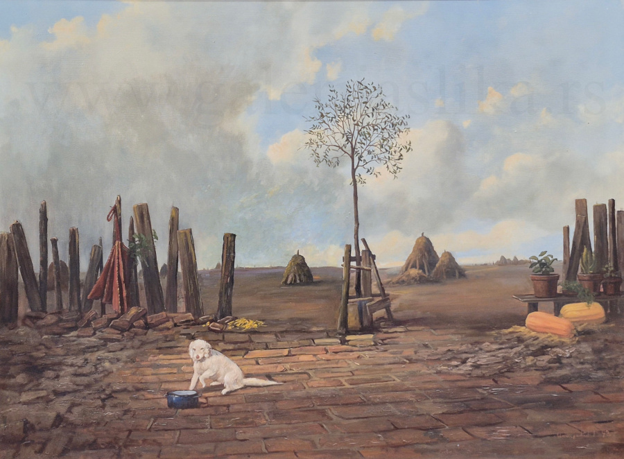 galerija slika Goran Mitrovic